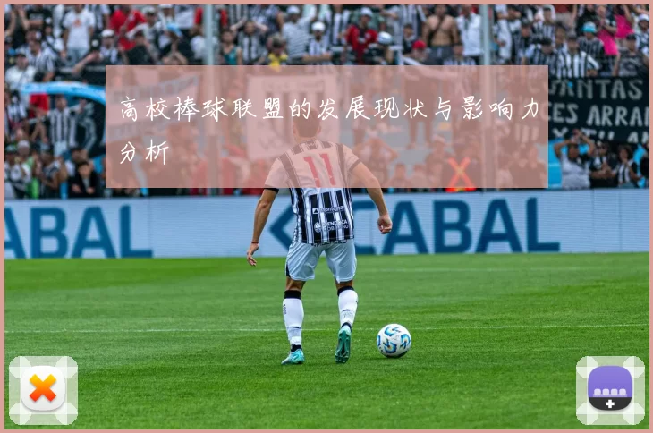 高校棒球联盟的发展现状与影响力分析