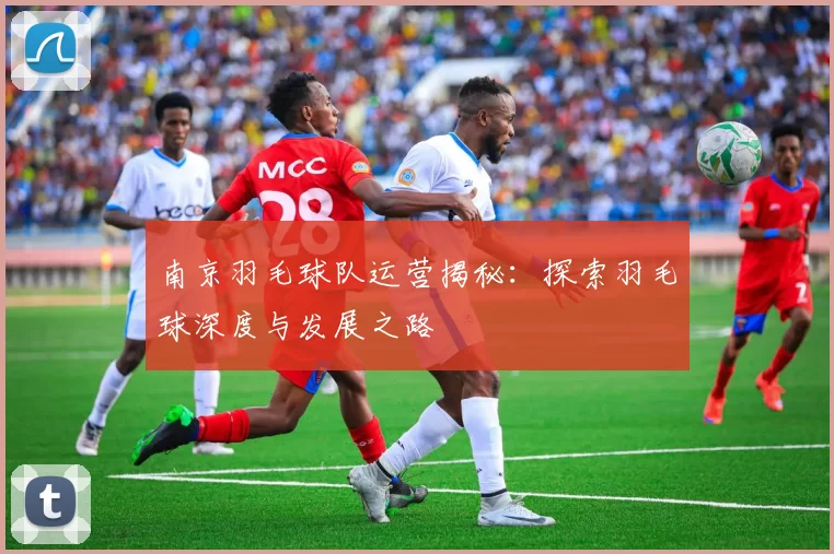 南京羽毛球队运营揭秘：探索羽毛球深度与发展之路