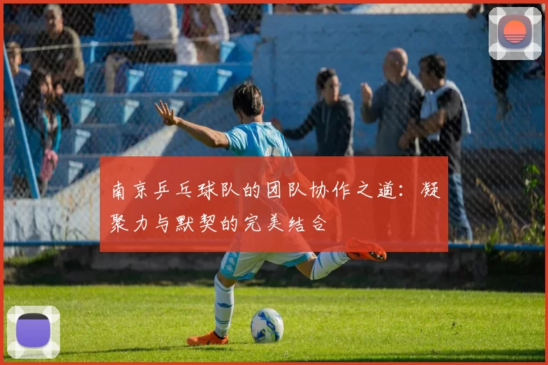 南京乒乓球队的团队协作之道：凝聚力与默契的完美结合