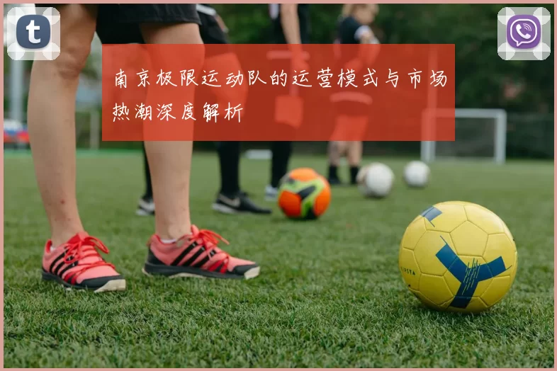 南京极限运动队的运营模式与市场热潮深度解析