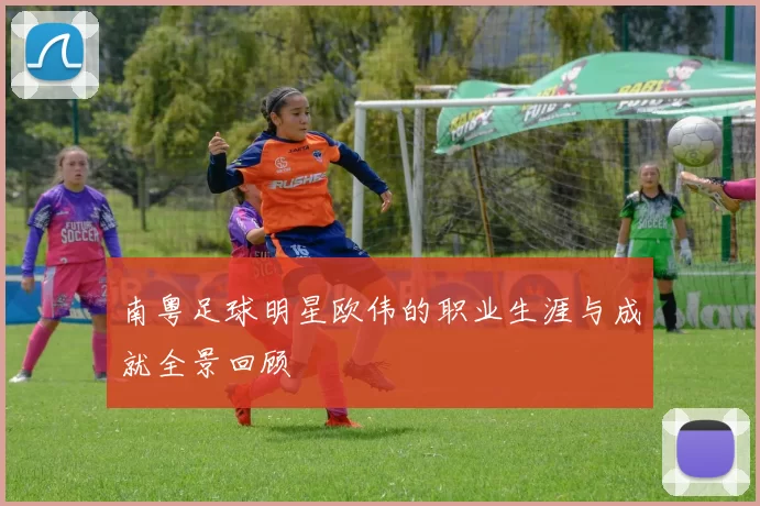 南粤足球明星欧伟的职业生涯与成就全景回顾