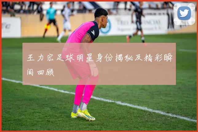 王力宏足球明星身份揭秘及精彩瞬间回顾