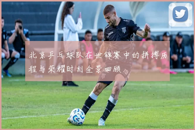 北京乒乓球队在世锦赛中的拼搏历程与荣耀时刻全景回顾
