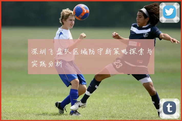 深圳飞盘队区域防守新策略探索与实践分析
