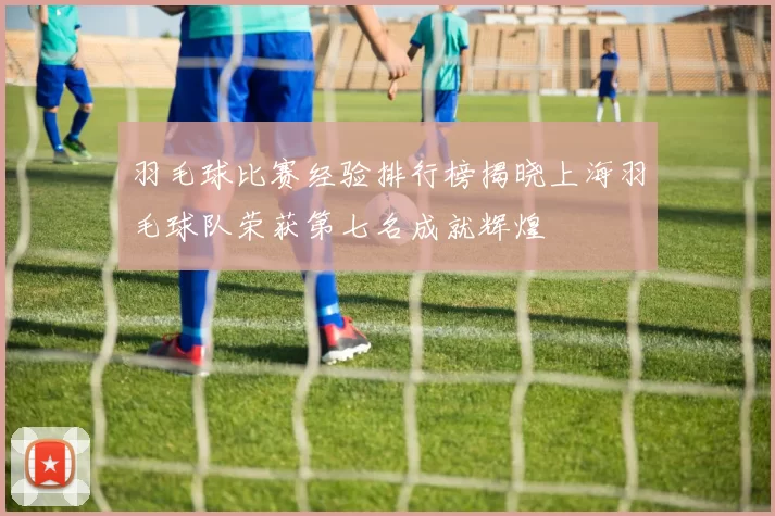 羽毛球比赛经验排行榜揭晓上海羽毛球队荣获第七名成就辉煌
