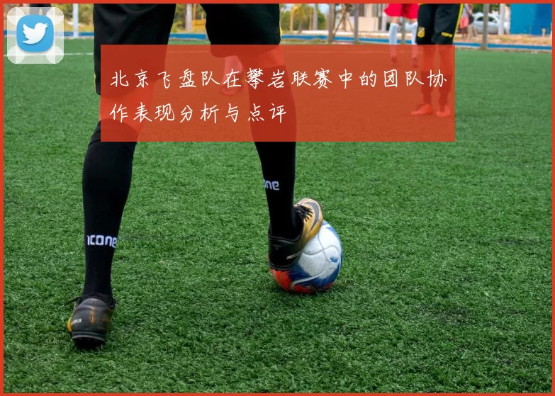 北京飞盘队在攀岩联赛中的团队协作表现分析与点评