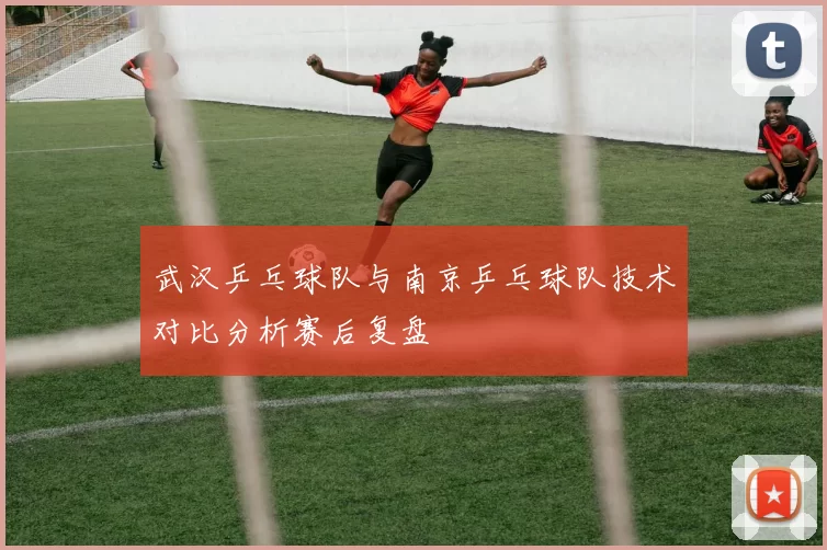 武汉乒乓球队与南京乒乓球队技术对比分析赛后复盘