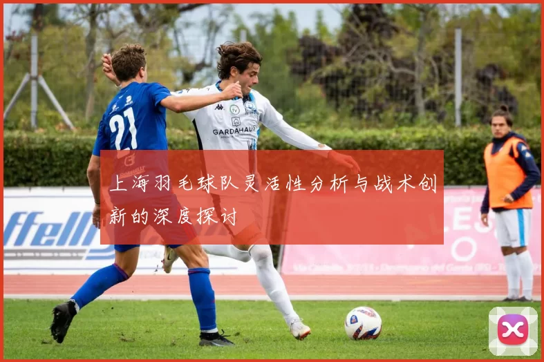 上海羽毛球队灵活性分析与战术创新的深度探讨