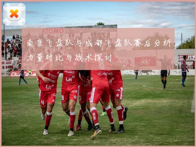 南京飞盘队与成都飞盘队赛后分析力量对比与战术探讨