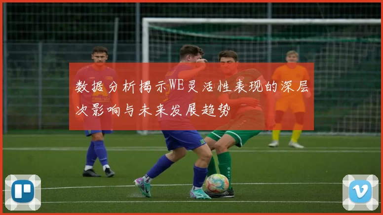 数据分析揭示WE灵活性表现的深层次影响与未来发展趋势