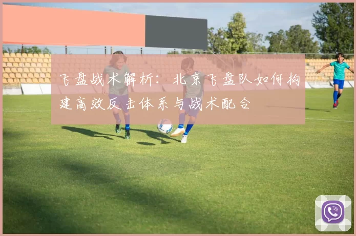 飞盘战术解析：北京飞盘队如何构建高效反击体系与战术配合