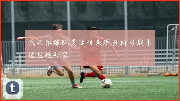 武汉排球队灵活性表现分析与战术适应性研究