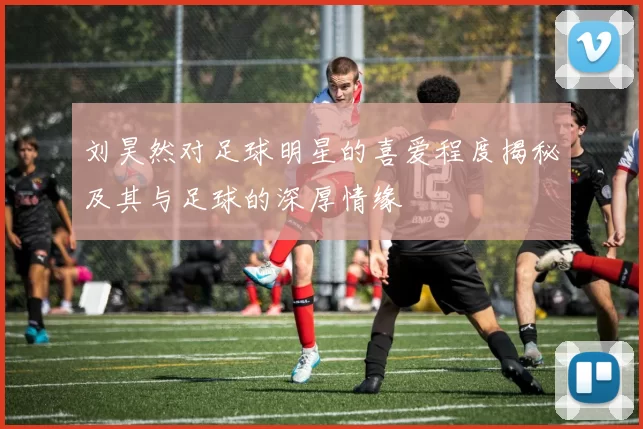 刘昊然对足球明星的喜爱程度揭秘及其与足球的深厚情缘