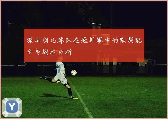 深圳羽毛球队在冠军赛中的默契配合与战术分析