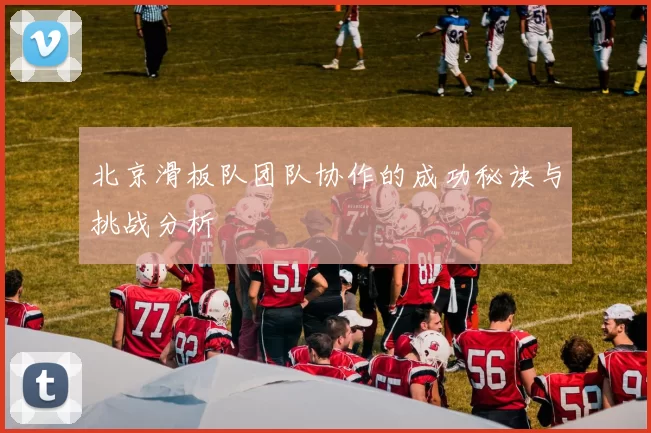 北京滑板队团队协作的成功秘诀与挑战分析