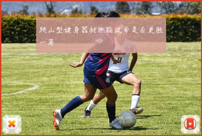 爬山型健身器材燃脂效率是否更胜一筹