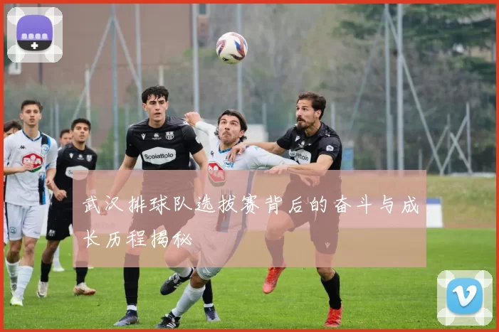 武汉排球队选拔赛背后的奋斗与成长历程揭秘
