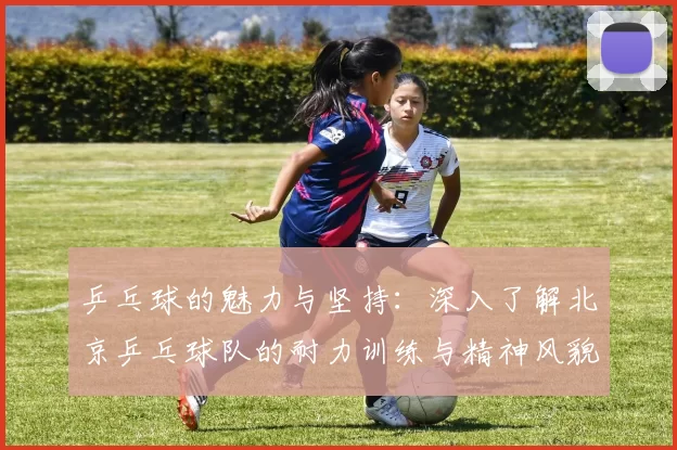 乒乓球的魅力与坚持：深入了解北京乒乓球队的耐力训练与精神风貌