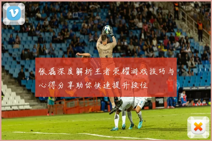 张磊深度解析王者荣耀游戏技巧与心得分享助你快速提升段位
