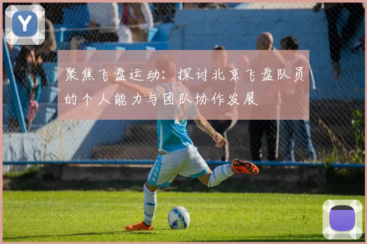 聚焦飞盘运动：探讨北京飞盘队员的个人能力与团队协作发展