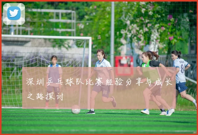 深圳乒乓球队比赛经验分享与成长之路探讨