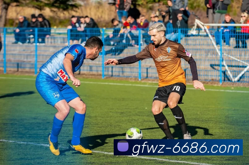 6686体育发展历程